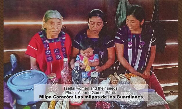 Maya and Our Cultures Can Thrive