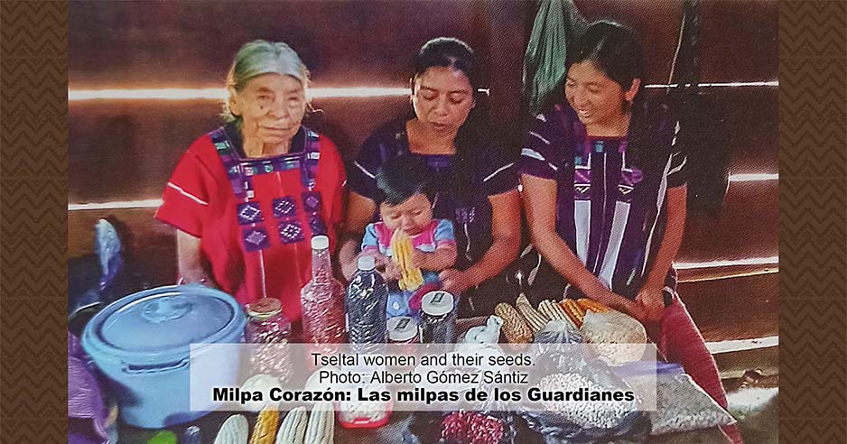 Maya and Our Cultures Can Thrive