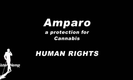 Amparo Cannabis Human Rights