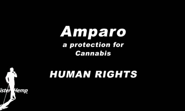 Amparo Cannabis Human Rights